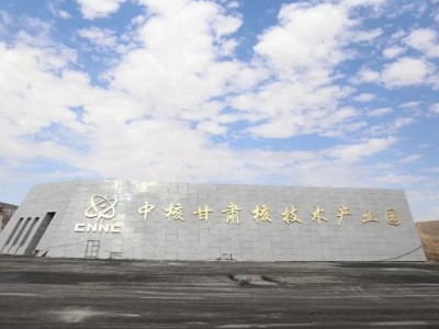 【中核甘肃核技术产业园】DN300-PN16橡胶接头